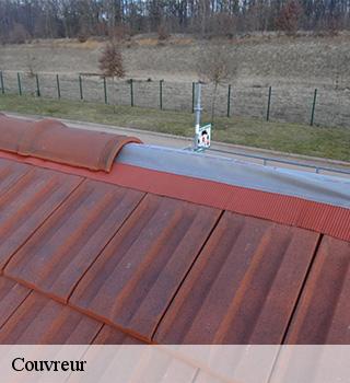Couvreur  77650