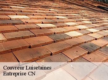 Couvreur  luisetaines-77520 Entreprise CN