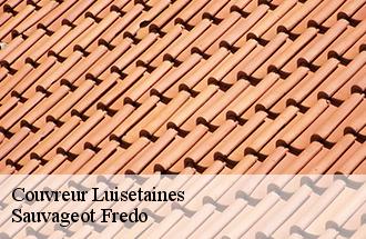 Couvreur luisetaines-77520 Sauvageot Fredo