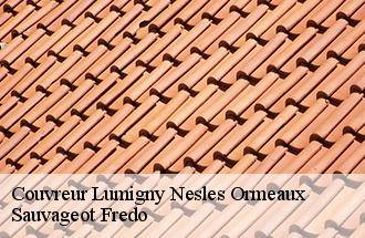 Couvreur  lumigny-nesles-ormeaux-77540 Sauvageot Fredo
