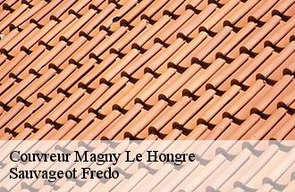 Couvreur magny-le-hongre-77700 BJ couverture