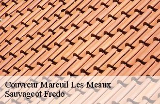 Couvreur mareuil-les-meaux-77100 Sauvageot Fredo