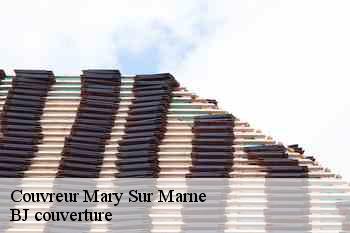 Couvreur  mary-sur-marne-77440 BJ couverture