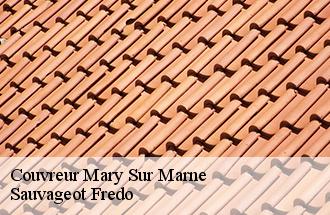 Couvreur mary-sur-marne-77440 Sauvageot Fredo