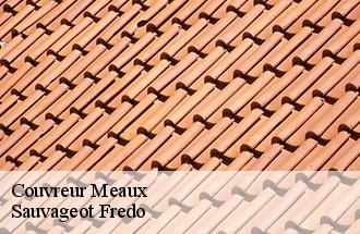 Couvreur  meaux-77100 Sauvageot Fredo