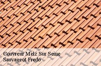Couvreur melz-sur-seine-77171 Sauvageot Fredo
