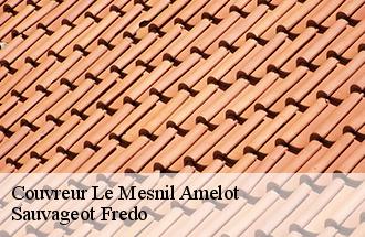Couvreur le-mesnil-amelot-77990 Sauvageot Fredo