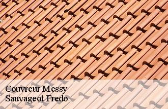 Couvreur messy-77410 Sauvageot Fredo