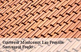 Couvreur montceaux-les-provins-77151 Sauvageot Fredo