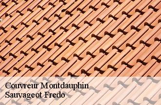 Couvreur montdauphin-77320 BJ couverture