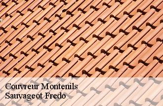 Couvreur montenils-77320 Sauvageot Fredo
