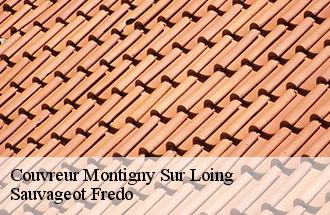 Couvreur montigny-sur-loing-77690 Sauvageot Fredo