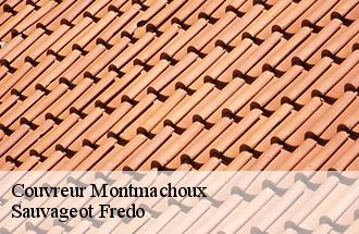 Couvreur montmachoux-77940 Sauvageot Fredo