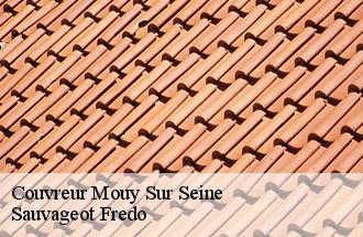 Couvreur mouy-sur-seine-77480 Sauvageot Fredo