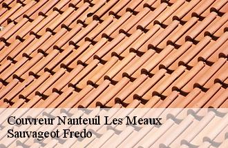 Couvreur  nanteuil-les-meaux-77100 Sauvageot Fredo