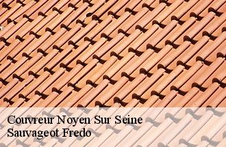 Couvreur noyen-sur-seine-77114 Sauvageot Fredo