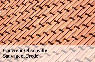 Couvreur obsonville-77890 Sauvageot Fredo