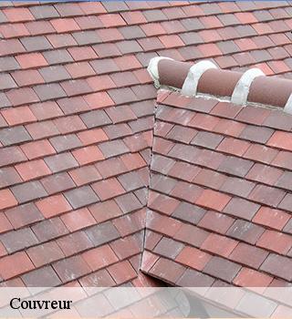 Couvreur  77280