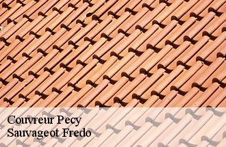 Couvreur pecy-77970 Sauvageot Fredo