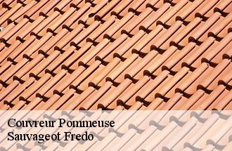 Couvreur pommeuse-77515 Sauvageot Fredo