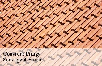 Couvreur pringy-77310 Sauvageot Fredo
