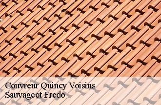 Couvreur quincy-voisins-77860 Sauvageot Fredo