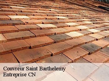 Couvreur saint-barthelemy-77320 Entreprise CN