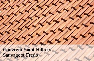 Couvreur saint-hilliers-77160 Sauvageot Fredo