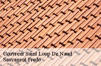 Couvreur  saint-loup-de-naud-77650 Sauvageot Fredo