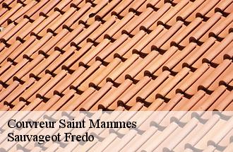 Couvreur  saint-mammes-77670 Sauvageot Fredo
