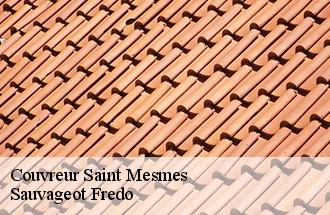 Couvreur saint-mesmes-77410 Sauvageot Fredo