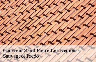 Couvreur saint-pierre-les-nemours-77140 Sauvageot Fredo