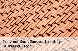 Couvreur  saint-sauveur-les-bray-77480 BJ couverture