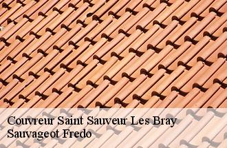 Couvreur saint-sauveur-les-bray-77480 Sauvageot Fredo