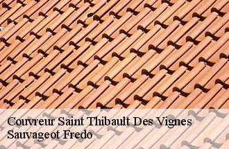 Couvreur  saint-thibault-des-vignes-77400 BJ couverture