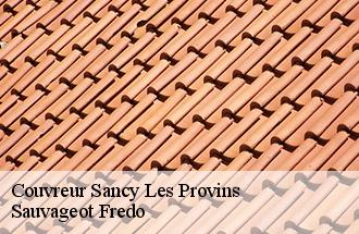 Couvreur sancy-les-provins-77320 Sauvageot Fredo
