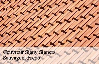 Couvreur signy-signets-77640