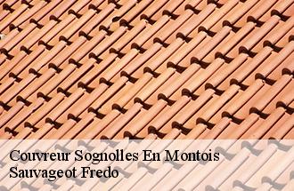 Couvreur  sognolles-en-montois-77520 Sauvageot Fredo