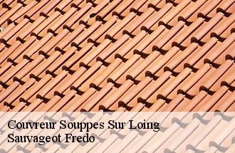 Couvreur souppes-sur-loing-77460 Sauvageot Fredo