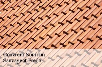 Couvreur sourdun-77171 Sauvageot Fredo