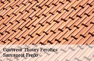 Couvreur thoury-ferottes-77156 BJ couverture