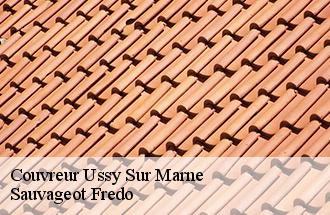 Couvreur ussy-sur-marne-77260 Sauvageot Fredo