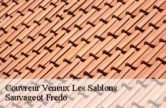Couvreur veneux-les-sablons-77250 Sauvageot Fredo