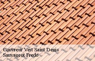 Couvreur vert-saint-denis-77240 Sauvageot Fredo
