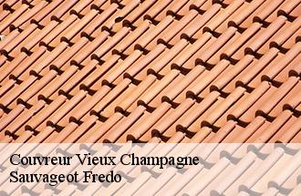 Couvreur vieux-champagne-77370 BJ couverture