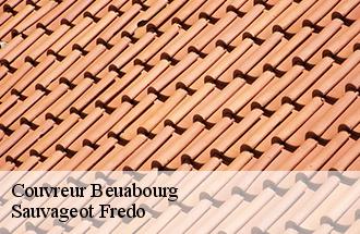Couvreur  beuabourg-77183 Sauvageot Fredo