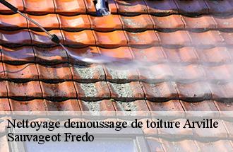 Nettoyage demoussage de toiture  arville-77890 BJ couverture