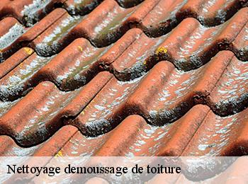 Nettoyage demoussage de toiture