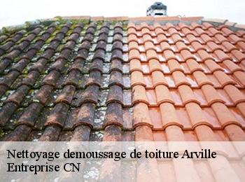 Nettoyage demoussage de toiture  arville-77890 Entreprise CN