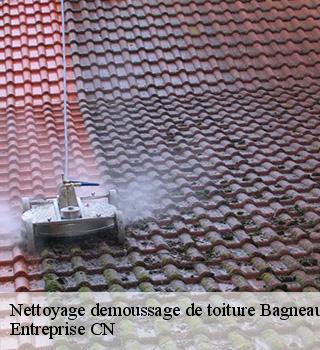 Nettoyage demoussage de toiture 77167